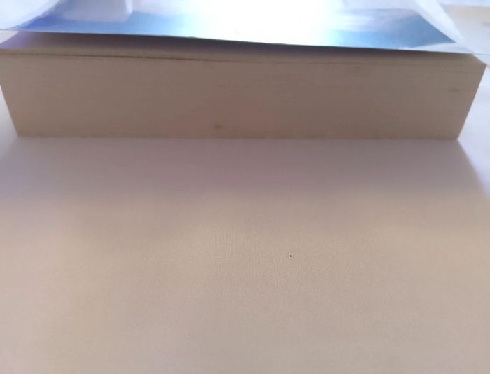 Livre de poche futur maman. - photo numéro 3