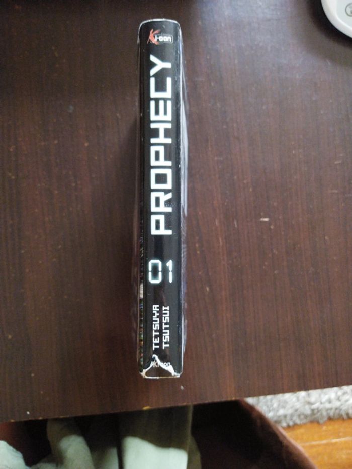 Manga Prophecy 1 - photo numéro 2