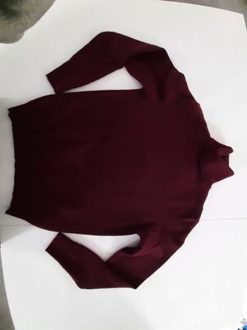 Pull col roulé homme
