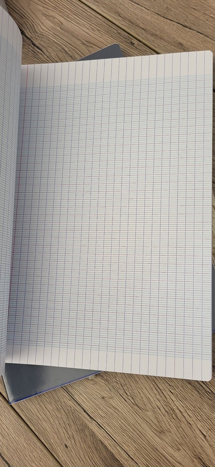 2 cahiers 96pages carreaux - photo numéro 2