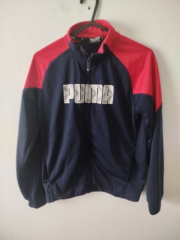 Jogging puma taille 11 ans