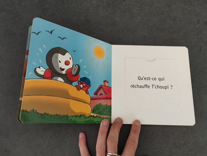 Livre découvre le temps qu'il fait avec T'choupi - photo numéro 6