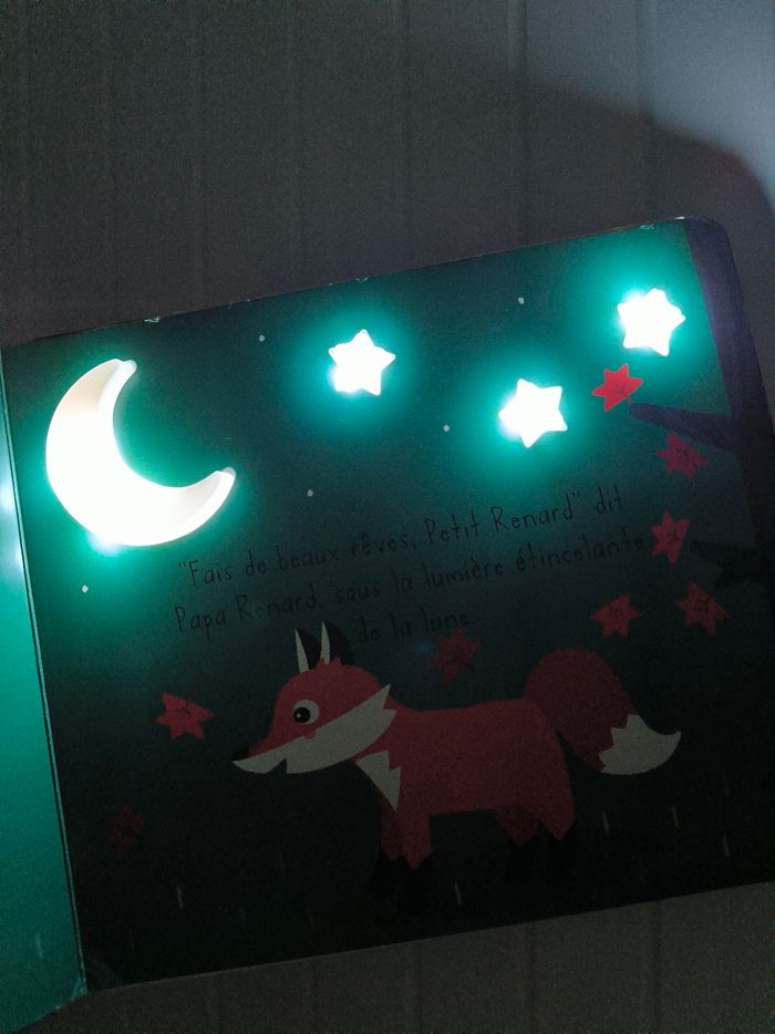 Livre Bonne nuit Petit Renard - photo numéro 7