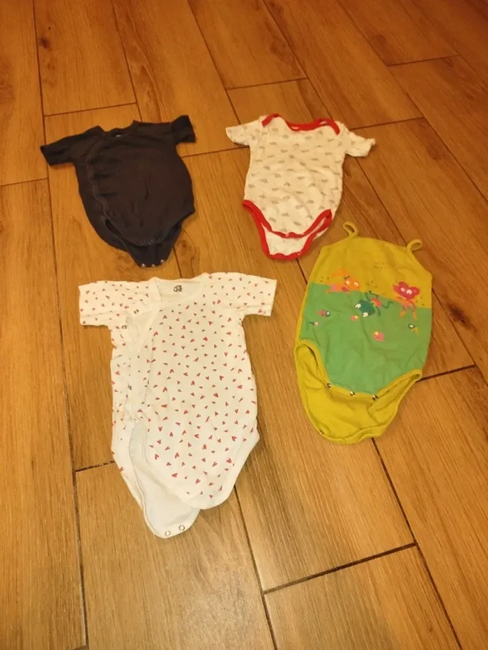 Lot de 4 bodys bébé fille 24 mois