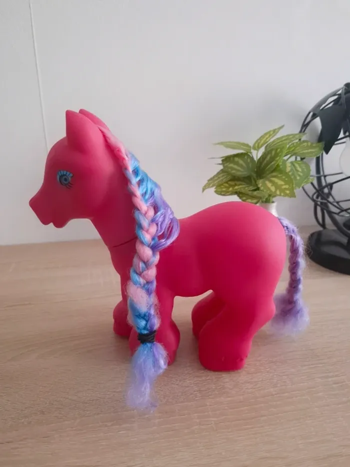 Grand Poney - photo numéro 2