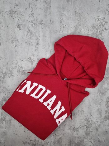 Pull à capuche universitaire Indiana Jerzees – Taille L Homme (mesures en photos)
