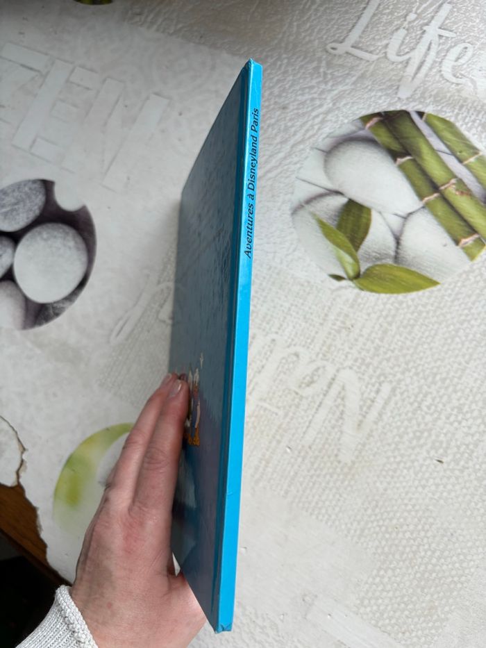 Livre Disney - photo numéro 6