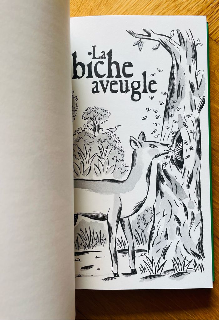 🦩🌿Contes de la forêt vierge Horacio Quiroga - photo numéro 6