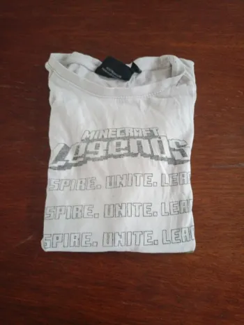 Tee shirt Minecraft