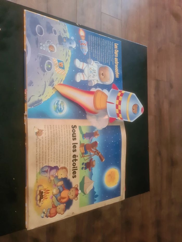 La ville des ours - photo numéro 5