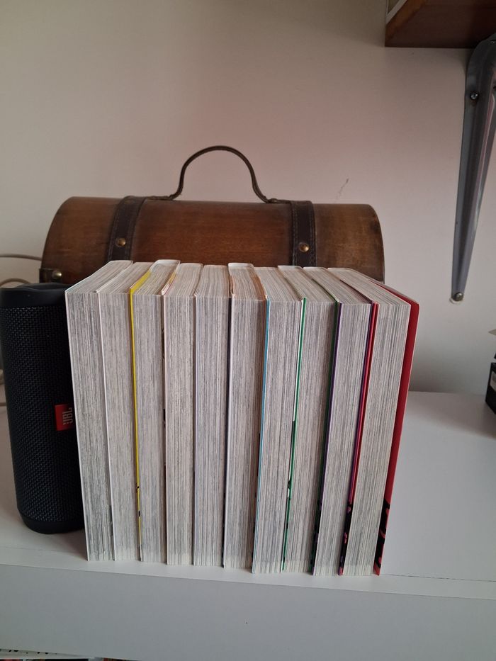 Manga Mirai Nikki tome 1 au tome 10 - photo numéro 3