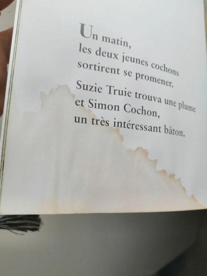Lot 9 livres "L'école des Loisirs" état satisfaisant (voir description) 📚 - photo numéro 13