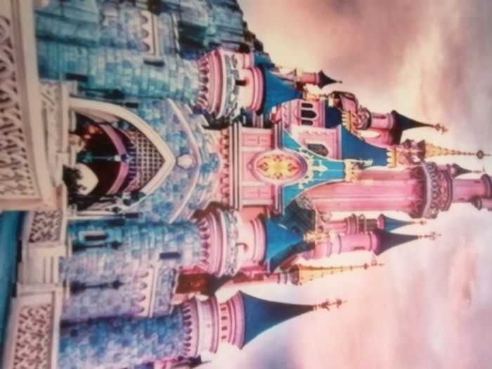 Affiche en tissu Disney Château de la Belle au Bois Dormant pink - photo numéro 2