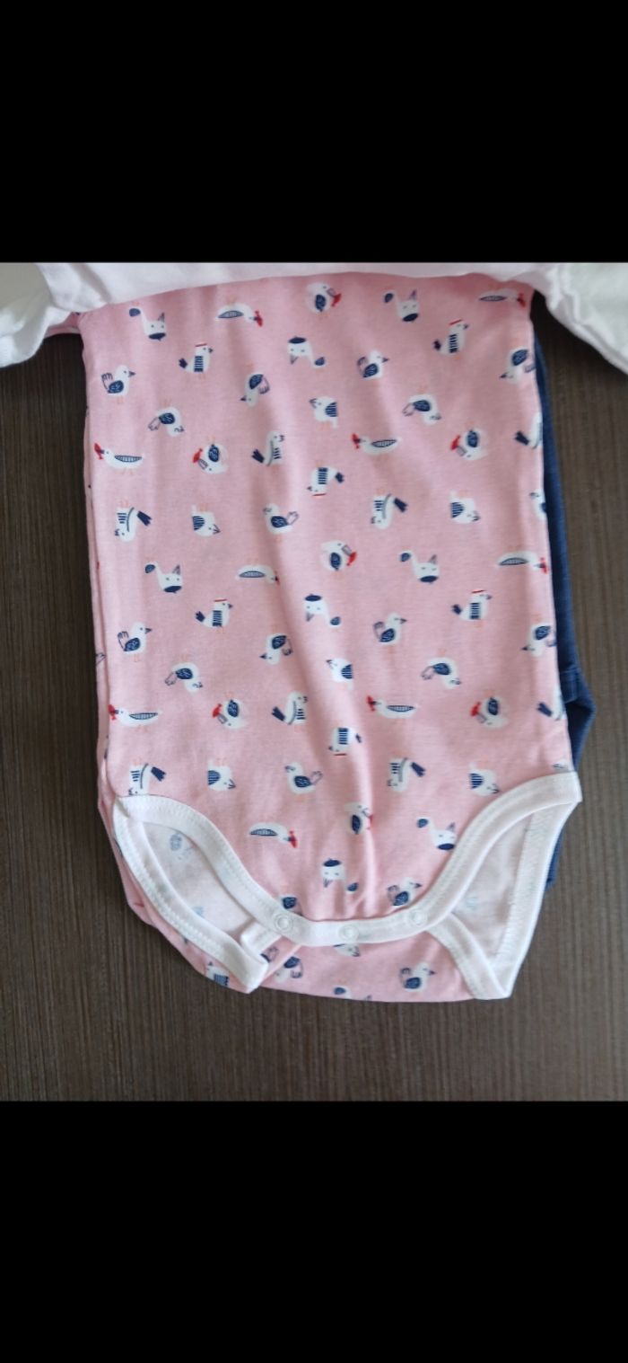 Lot de 4 bodies fille manches courtes absorba 18 mois - photo numéro 2