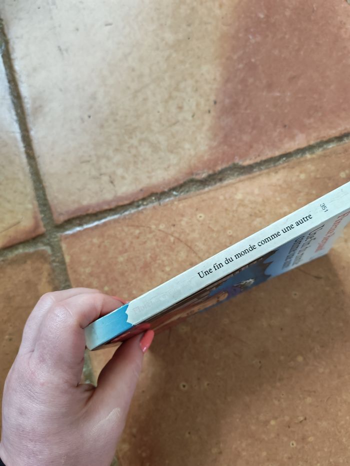 Une fin du monde comme une autre, livre de Florence Reynaud - photo numéro 7