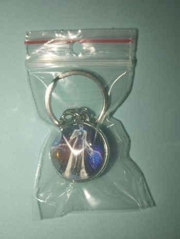 Porte clé signe astrologique vierge