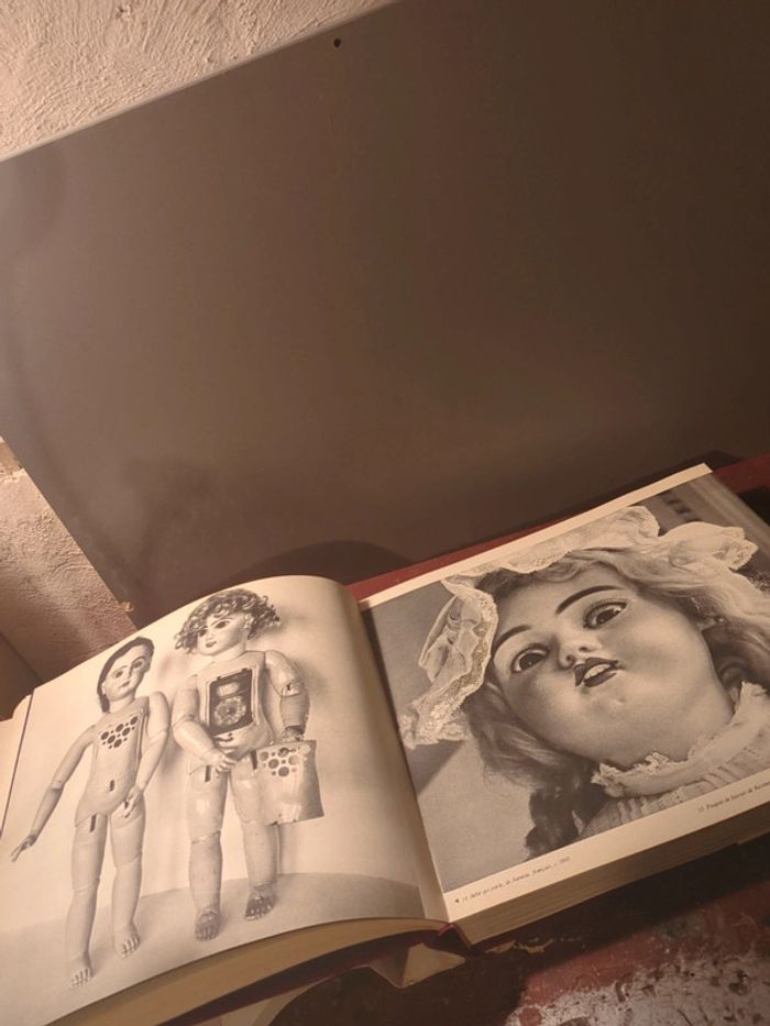 Fox Carl les poupées - photo numéro 4