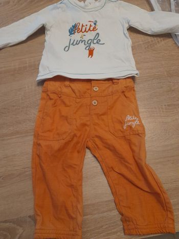 Enssemble petite jungle