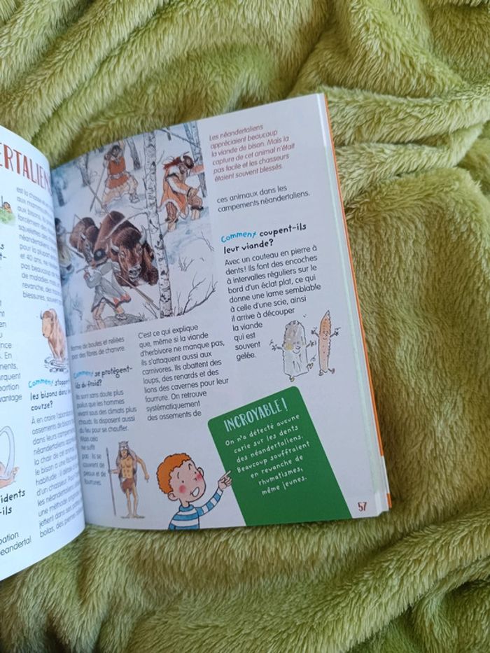Livre la préhistoire - photo numéro 3