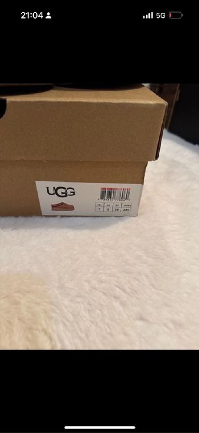 Tasman Ugg - photo numéro 5