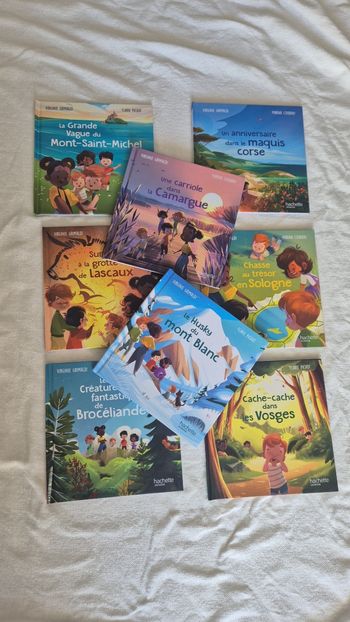 Lot de livres " merveilles de France " 