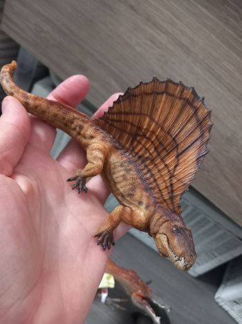 Dimetrodon papo