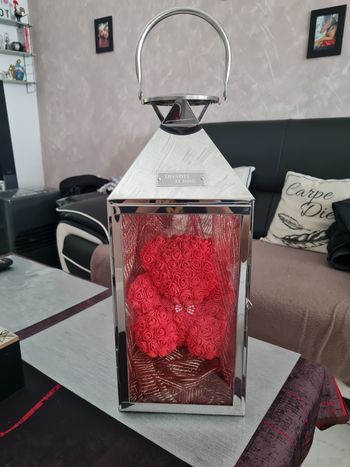 Lanterne Ours en rose