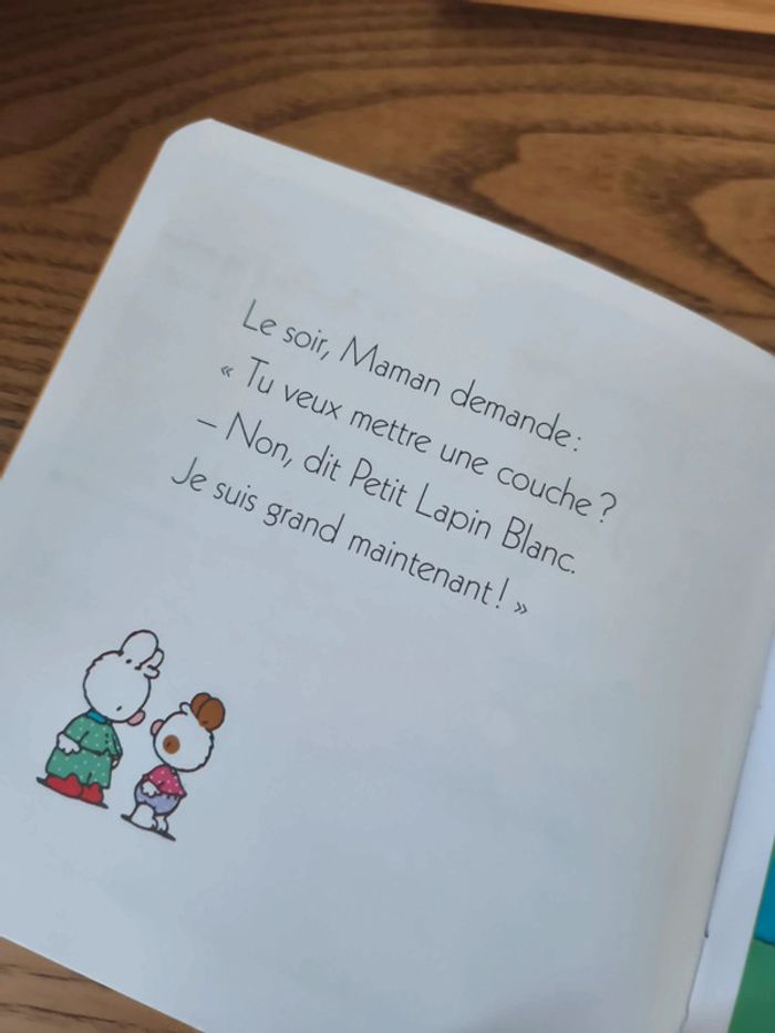 Petit lapin blanc et le pipi au lit - photo numéro 3