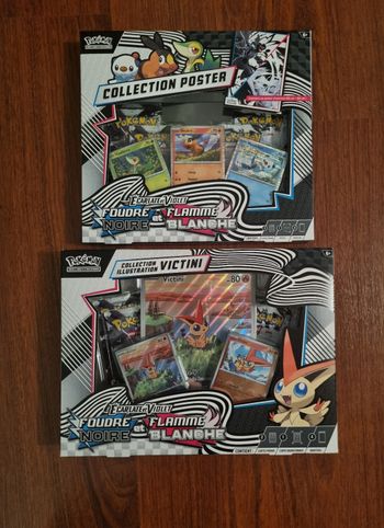 2 coffrets pokemon ev10.5.