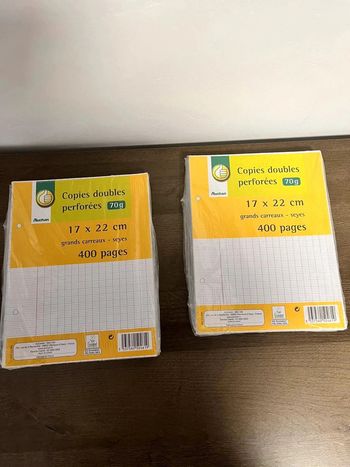 Lot de 4 paquets copies doubles 17x22 cm