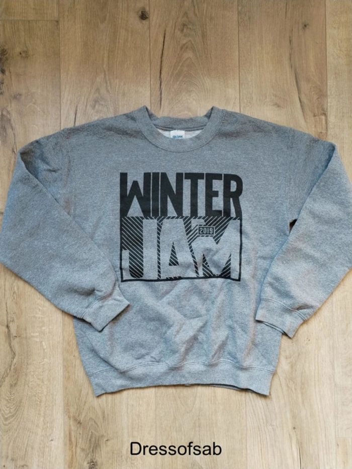 Sweat Gildan Homme Vintage made in 🇺🇸 - photo numéro 2