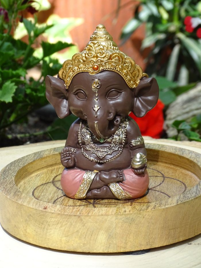 Ganesh rose