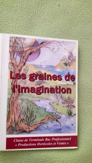 Les graines de l'imagination 🌟