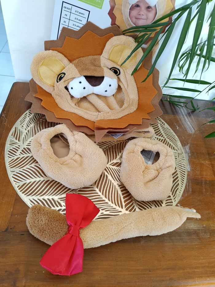 Déguisement  2/3 ans  Petit Lion - photo numéro 3