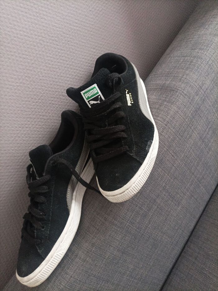 Puma - photo numéro 3