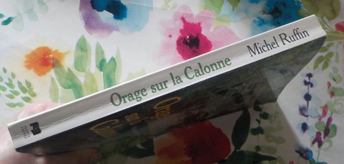 Orage sur la Calonne de Michel Ruffin Ed. France-Empire - photo numéro 3