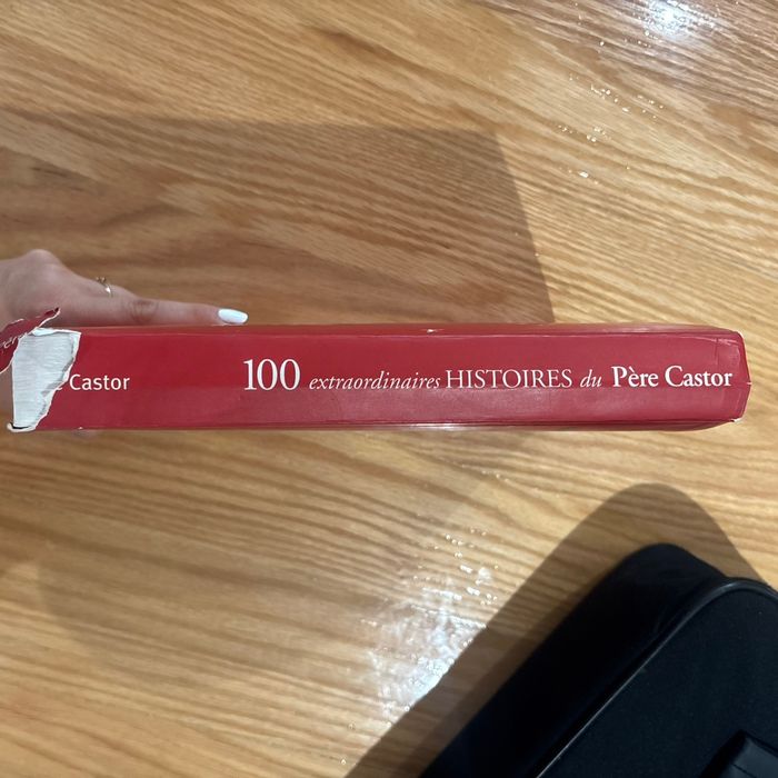 100 extraordinaires histoires du père castor - photo numéro 4