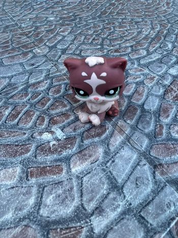 Petshop chat 🐱🐶 Vintage collectors