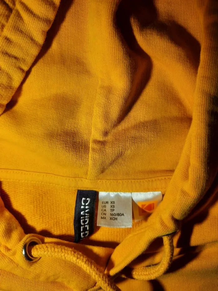 Pull divided - photo numéro 5