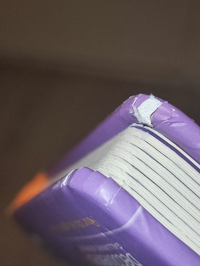 Lot de 2 livres cartonnés "En forêt" et "Les instruments de musique" - photo numéro 3