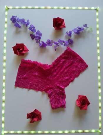 Culotte