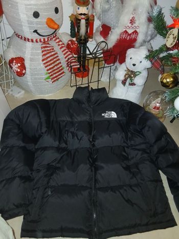 Superbe Doudoune the nord face totalement neuve taille M