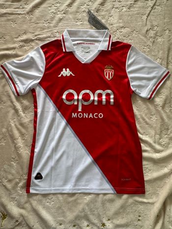 Maillot as Monaco Paul Pogba