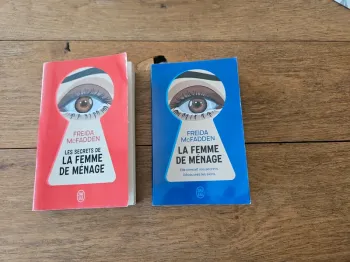 Lot les secrets de la femme de ménage
