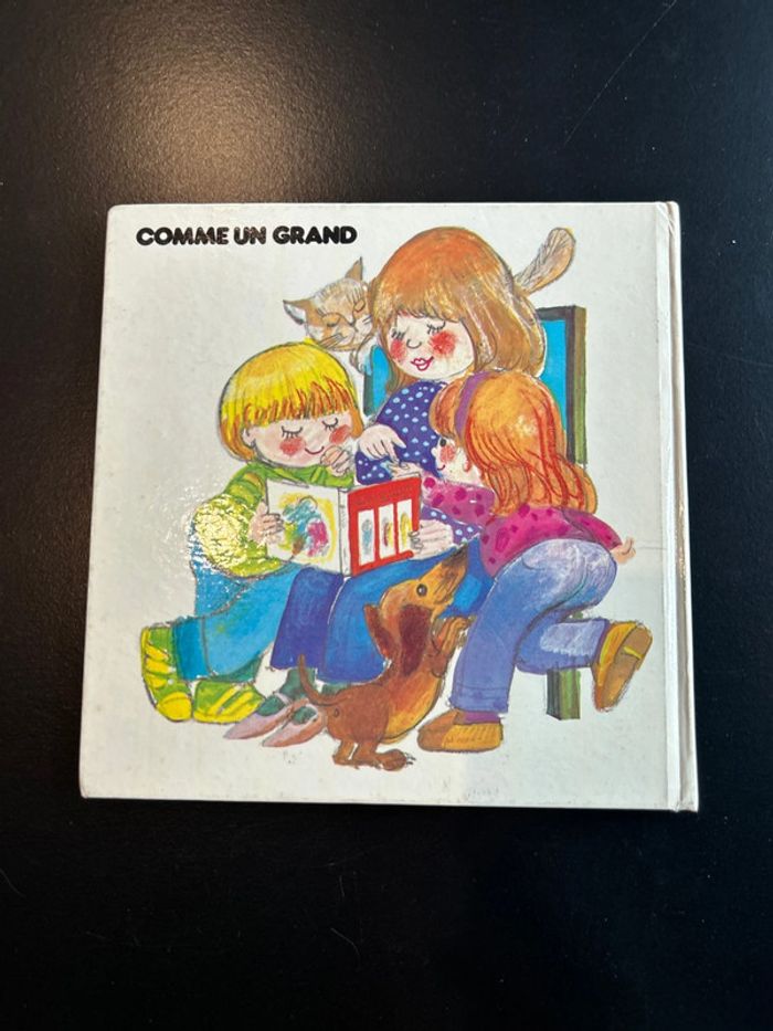 Comme un grand - photo numéro 2
