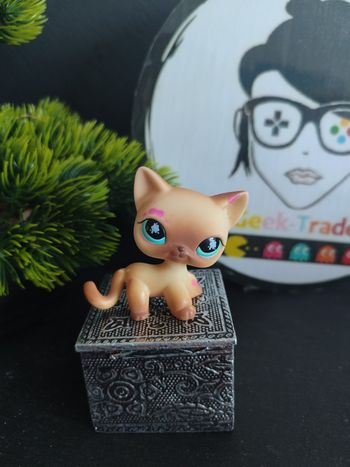 Littlest Petshop Pet Shop LPS Authentic  Authentique cat Shorthair European 816