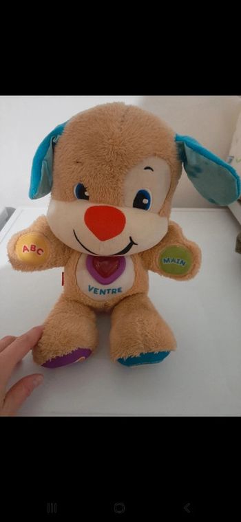 Puppy éveil progressif