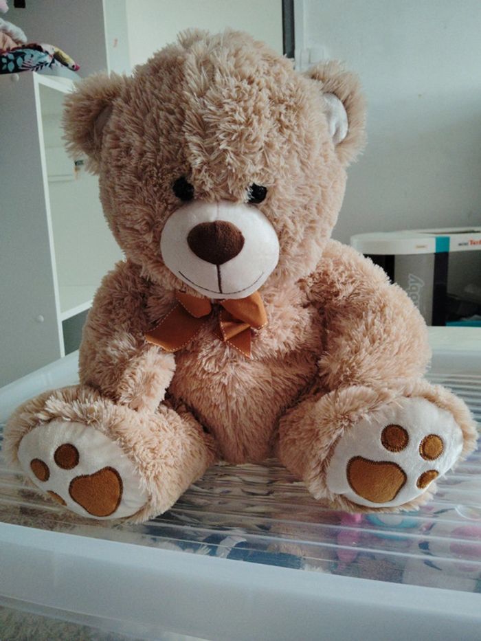 Ours peluche