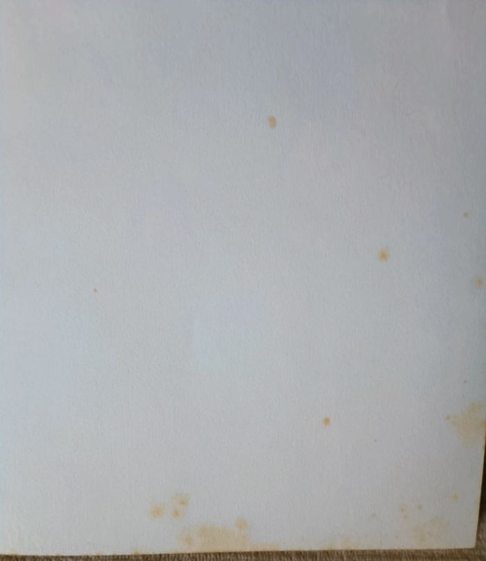 Lot de 6  livres Disney - photo numéro 6