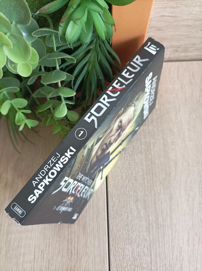 Livre Le Sorceleur n° 1 Le dernier vœu The Witcher - photo numéro 3